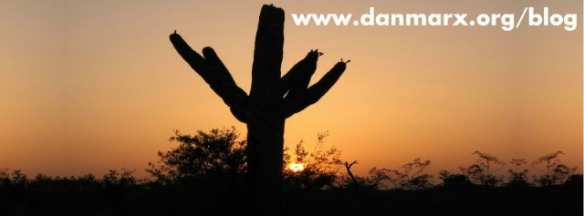 cactus_with_words_small.jpg